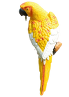 Statue perroquet jaune décoration